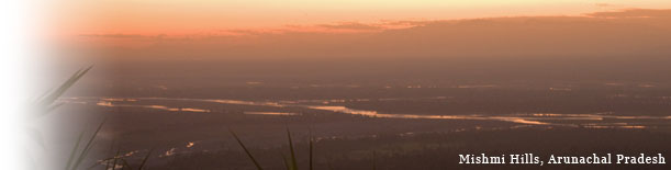 Birding in India - Mishmi Hills, Arunachal Pradesh 